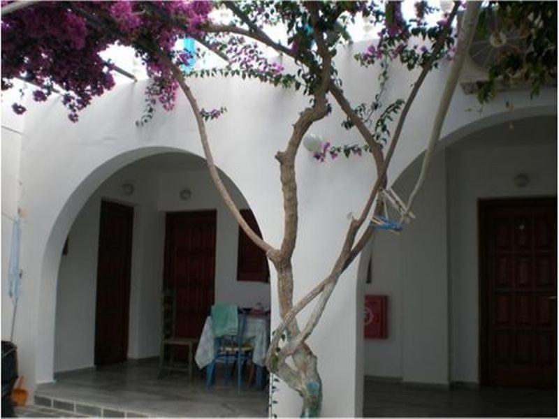 Aparthotel Artemis Pension Ios Pokoj fotografie